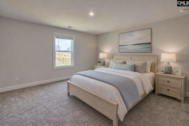 3046 Snail Seed Trail, Lexington, SC 29073