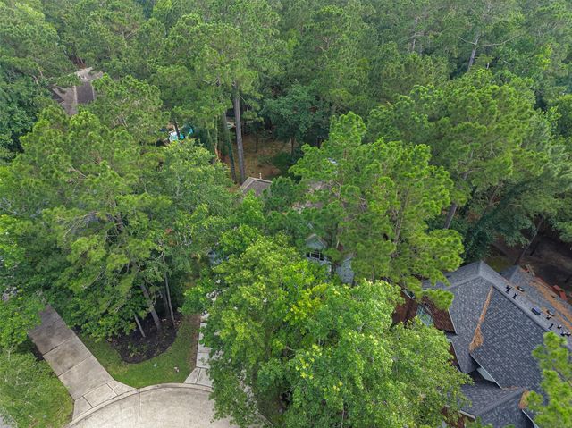 178 Linton Downs Place, The Woodlands, TX 77382