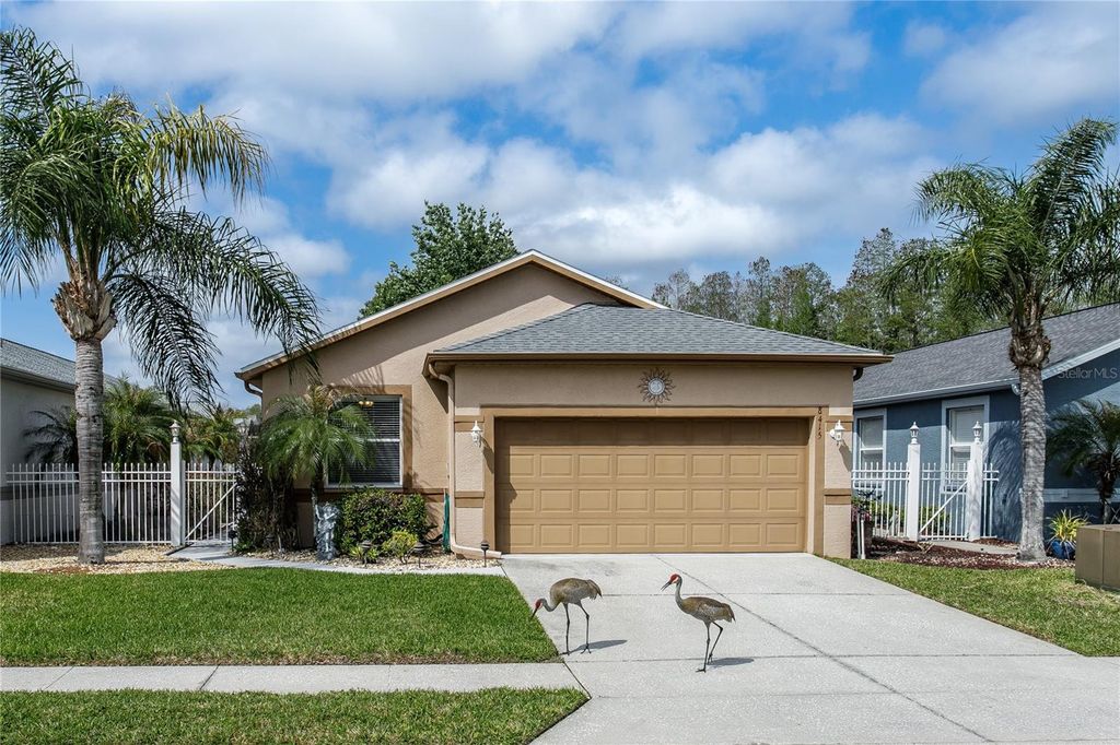 8415 TAROCCO COURT, Land O Lakes, FL 34637