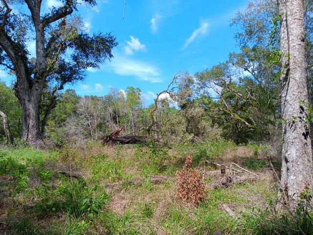 8301 Brazos River Road, Damon, TX 77430