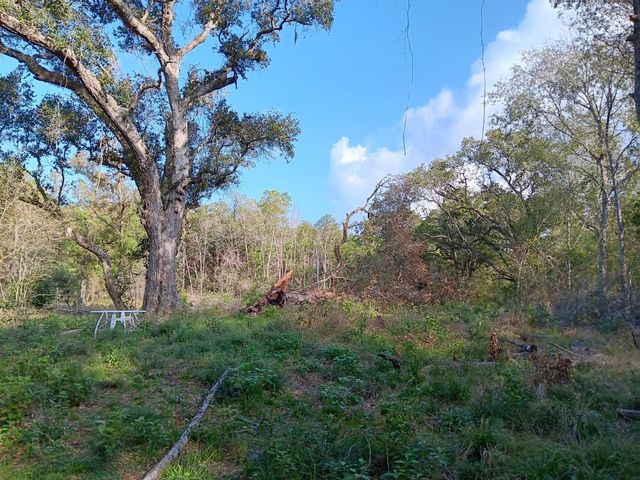 8301 Brazos River Road, Damon, TX 77430