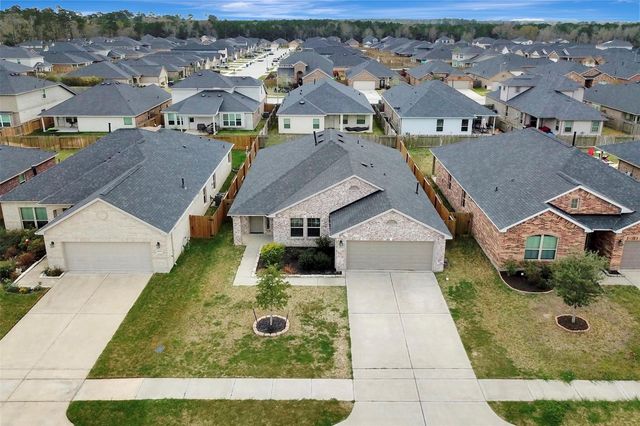 10029 Ocelot Court, Magnolia, TX 77354