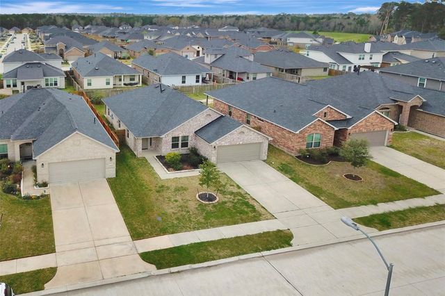 10029 Ocelot Court, Magnolia, TX 77354