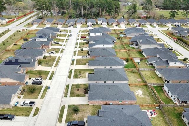 10029 Ocelot Court, Magnolia, TX 77354