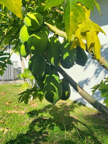 12650 SW 218th Street, Miami, FL 33170