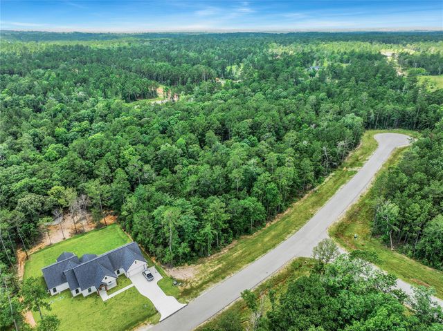 103 Eagle Run Road, Willis, TX 77378