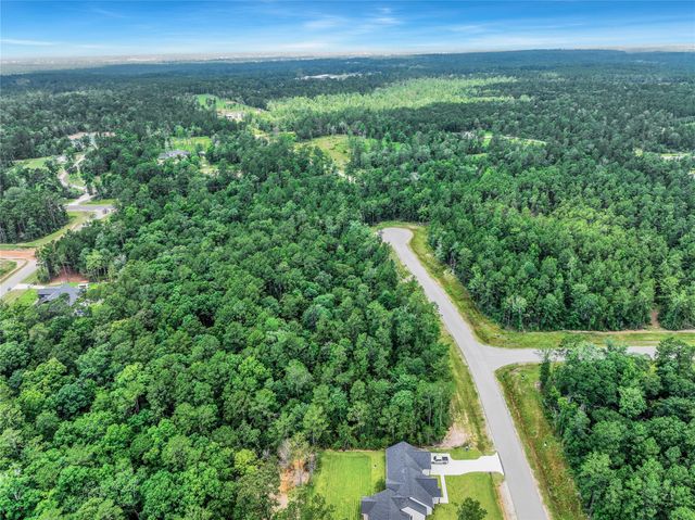 103 Eagle Run Road, Willis, TX 77378
