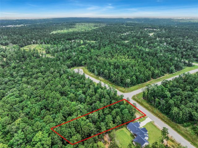 103 Eagle Run Road, Willis, TX 77378