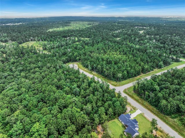 103 Eagle Run Road, Willis, TX 77378