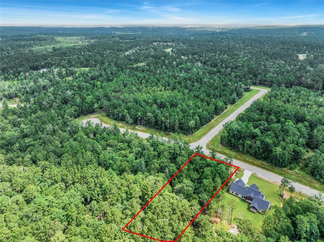 103 Eagle Run Road, Willis, TX 77378