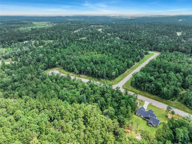 103 Eagle Run Road, Willis, TX 77378