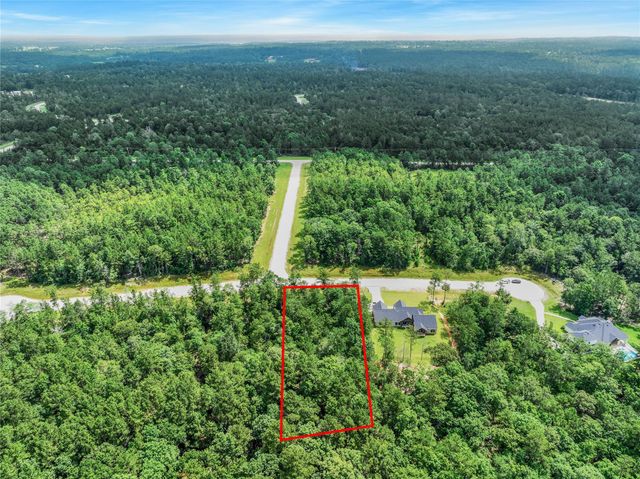 103 Eagle Run Road, Willis, TX 77378