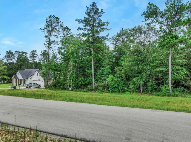 103 Eagle Run Road, Willis, TX 77378