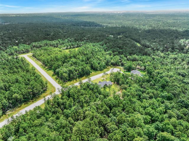 103 Eagle Run Road, Willis, TX 77378