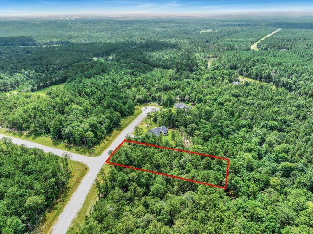103 Eagle Run Road, Willis, TX 77378