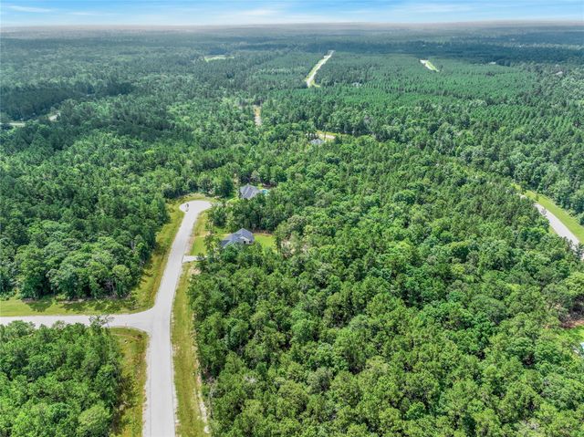 103 Eagle Run Road, Willis, TX 77378