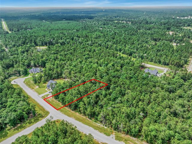 103 Eagle Run Road, Willis, TX 77378