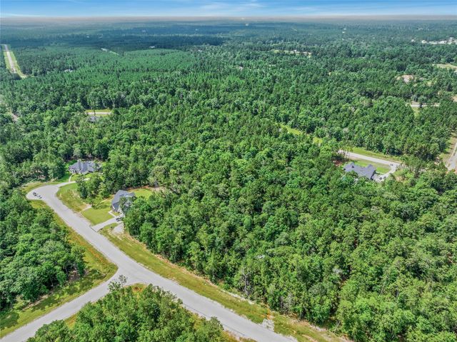 103 Eagle Run Road, Willis, TX 77378