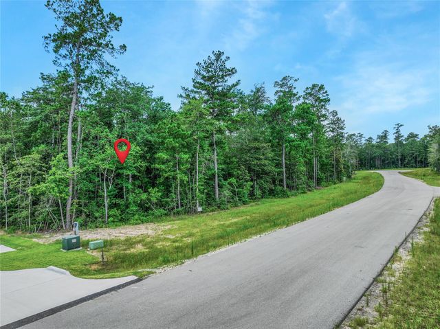 103 Eagle Run Road, Willis, TX 77378