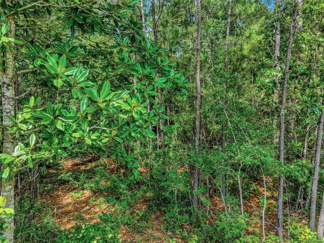 103 Eagle Run Road, Willis, TX 77378
