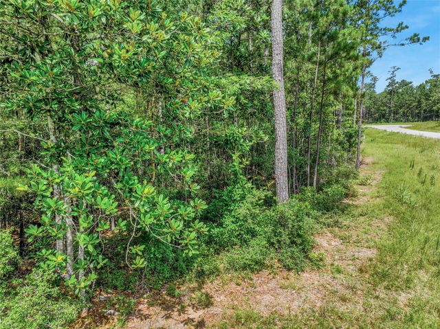 103 Eagle Run Road, Willis, TX 77378