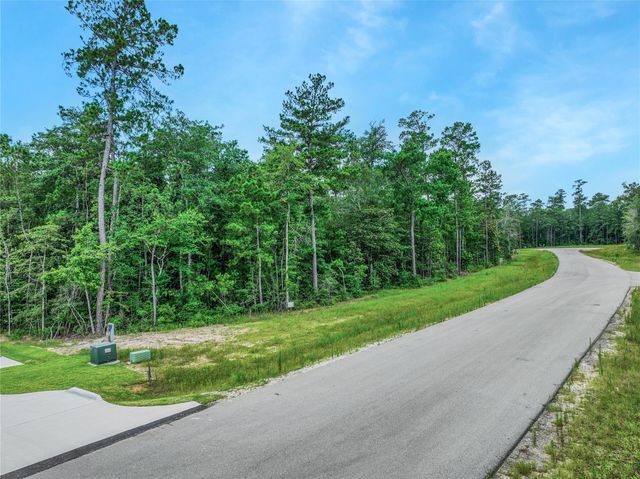 103 Eagle Run Road, Willis, TX 77378