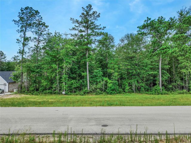 103 Eagle Run Road, Willis, TX 77378