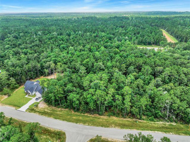 103 Eagle Run Road, Willis, TX 77378