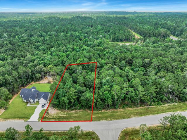 103 Eagle Run Road, Willis, TX 77378