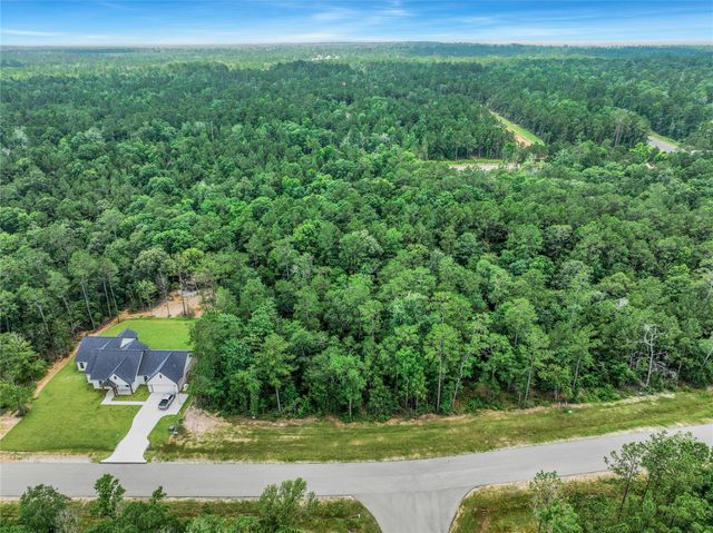 103 Eagle Run Road, Willis, TX 77378