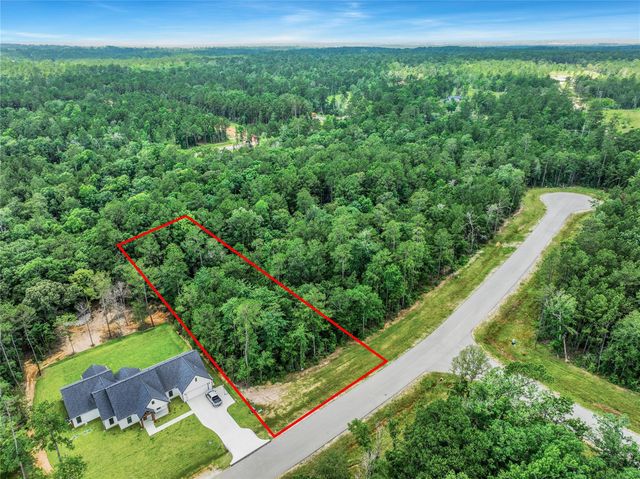 103 Eagle Run Road, Willis, TX 77378