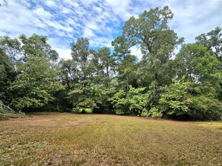 81 E Bishop Road, Point Blank, TX 77364