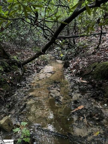 00 Geer Highway, Cleveland, SC 29635