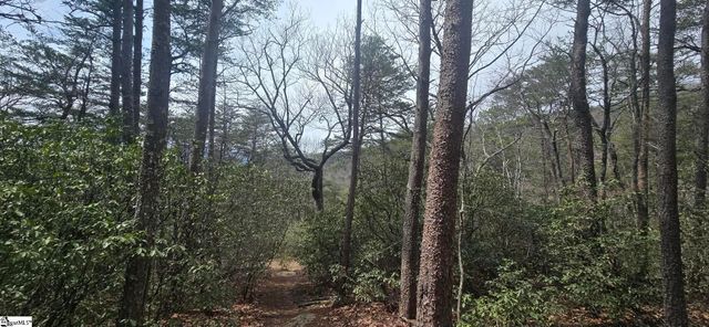 00 Geer Highway, Cleveland, SC 29635