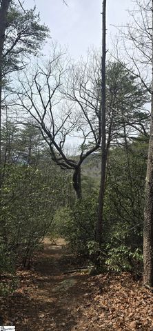 00 Geer Highway, Cleveland, SC 29635