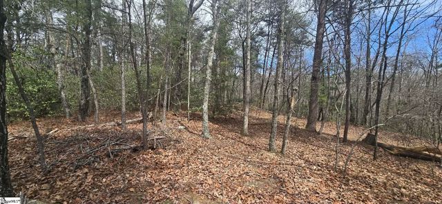 00 Geer Highway, Cleveland, SC 29635