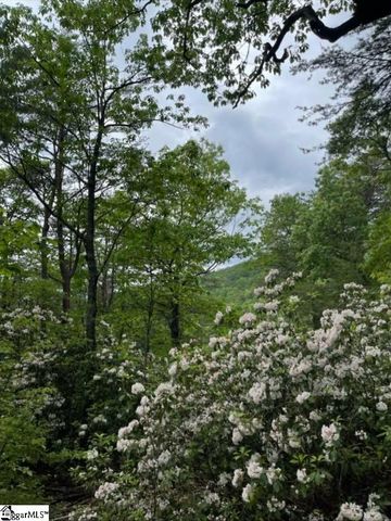 00 Geer Highway, Cleveland, SC 29635