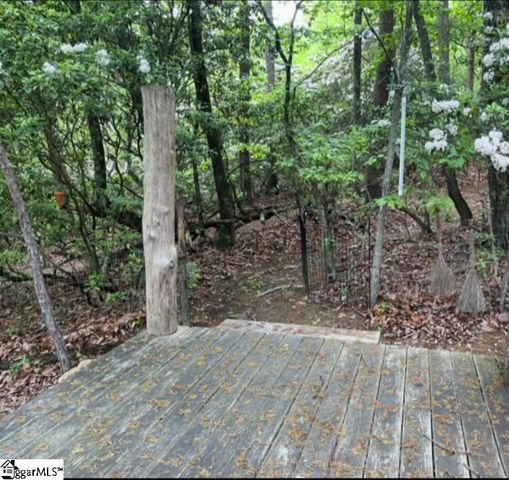 00 Geer Highway, Cleveland, SC 29635