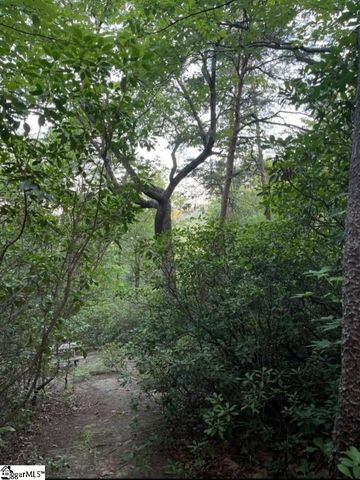 00 Geer Highway, Cleveland, SC 29635