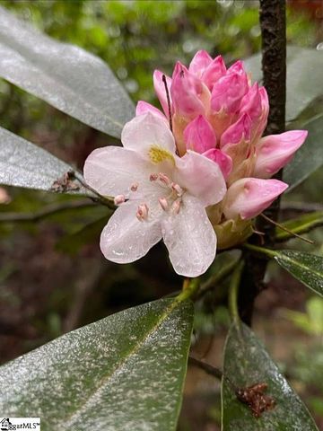 00 Geer Highway, Cleveland, SC 29635