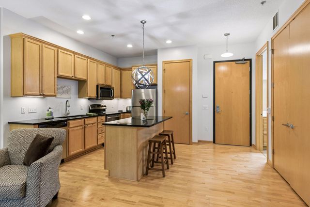 240 Spring Street 203, Saint Paul, MN 55102