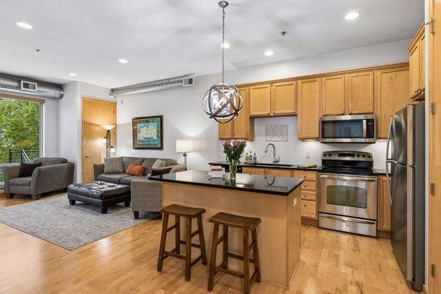240 Spring Street 203, Saint Paul, MN 55102