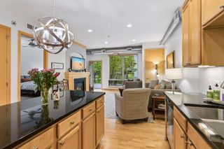 240 Spring Street 203, Saint Paul, MN 55102