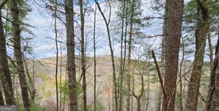 1744 Meadow Lane, Talking Rock, GA 30175