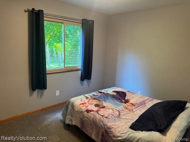 1702 Birch Road, Attica, MI 48412