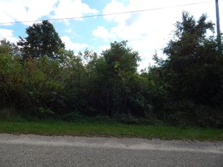 Vl Seneca Court, Sturgis, MI 49091