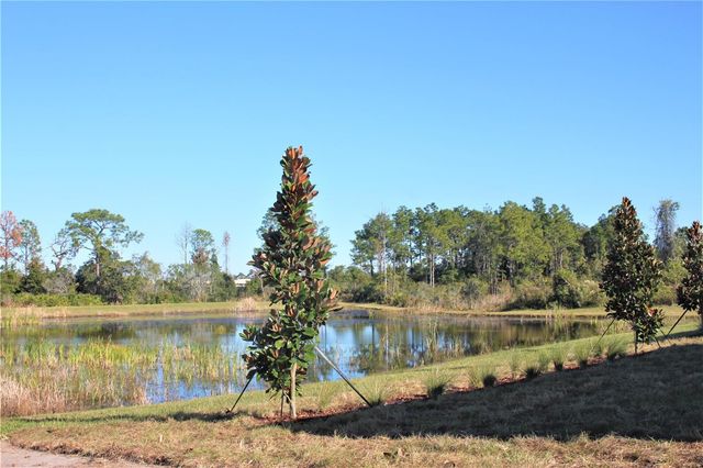 9077 SHADYSIDE LANE, Land O Lakes, FL 34637