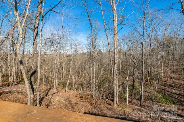 81 Delind Drive, Mill Spring, NC 28756