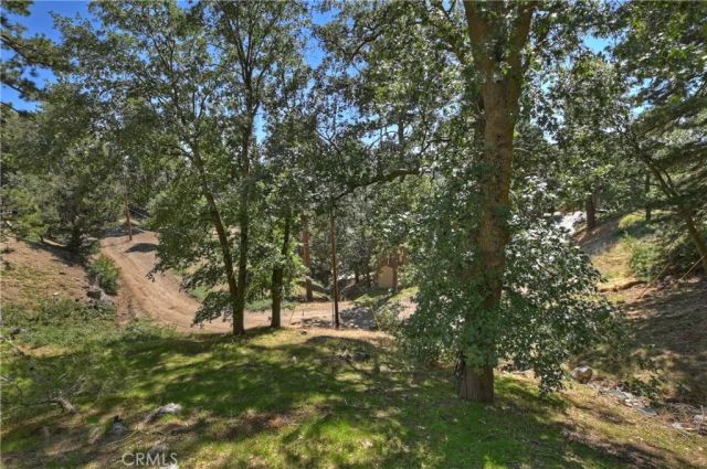 21510 Crest Forest Drive, Cedarpines Park, CA 92322