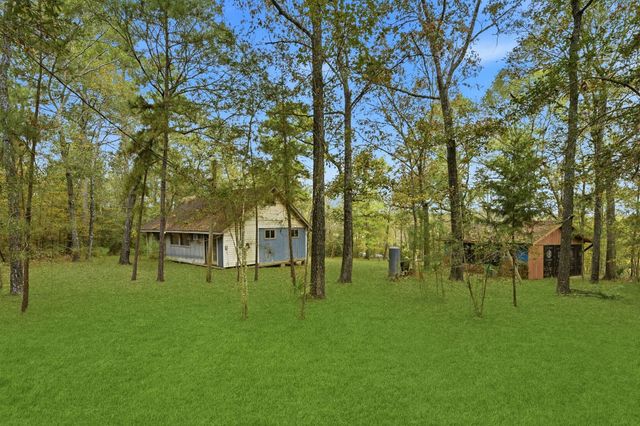 55 Dipping Vat Road, New Waverly, TX 77358